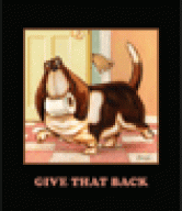 Dogs